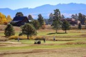  Ad# 5958326 golf course property for sale on GolfHomes.com