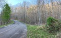 LOT IN GATED GOLF COURSED COMMUNITY! Located in the upscale for sale in Hayesville North Carolina Clay County County on GolfHomes.com