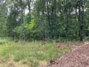 Enjoy this beautiful .31 acre corner lot that is nestled in for sale in Bella Vista Arkansas Benton County County on GolfHomes.com