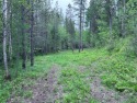 Spectacular piece of land with so much to offer. Tucked in for sale in Columbia Falls Montana Flathead County County on GolfHomes.com