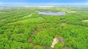 Discover 1.6 acres of serene, wooded land with no builder for sale in East Gull Lake Minnesota Cass County County on GolfHomes.com