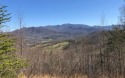 MOUNTAIN & LAKE VIEWS FROM THIS BEAUTIFULLY WOODED LOT IN THE for sale in Hayesville North Carolina Clay County County on GolfHomes.com