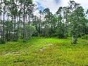 Discover a rare gem along  This is one of the few lots left for sale in Port St Joe Florida Gulf County County on GolfHomes.com