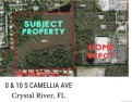 40 acres of privacy peace and tranquility. Boundary, topography for sale in Crystal River Florida Citrus County County on GolfHomes.com