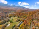 Beautiful, fully furnished, single level 2 bedroom 2 bathroom for sale in Burnsville North Carolina Yancey County County on GolfHomes.com