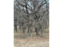 73 + - acres in The Sugartree golf course community. This is an for sale in Lipan Texas Parker County County on GolfHomes.com