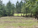 BUILD YOUR DREAM HOUSE  ON THE GOLF COURSE, on the first fairway for sale in Hattiesburg Mississippi Lamar County County on GolfHomes.com