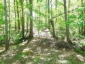  Ad# 6083821 golf course property for sale on GolfHomes.com