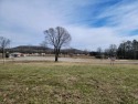 RIVER LOT... Bring your Boat, your RV, your Camper, your for sale in Decatur Tennessee Decatur County County on GolfHomes.com