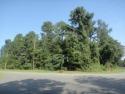 Build your dream home on this beautiful corner lot in Woodlawn for sale in Eufaula Alabama Barbour County County on GolfHomes.com