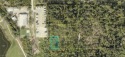 Spectacular lot for sale in the Estero Area, just a few feet for sale in Estero Florida Lee County County on GolfHomes.com