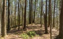 Looking for a gentle lot to build your mountain home, plus a for sale in Ellijay Georgia Gilmer County County on GolfHomes.com