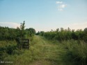 This 117+/- acre tract is an outdoorsman's dream. This is a for sale in Pulaski Mississippi Scott County County on GolfHomes.com