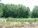  Ad# 6346760 golf course property for sale on GolfHomes.com