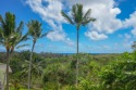Nestled in tropical serenity, this nicely remodeled for sale in Lihue Hawaii Kauai County County on GolfHomes.com