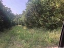Affordable Lot close to Crown lake and Box Hound Marina , Here for sale in Horseshoe Bend Arkansas Izard County County on GolfHomes.com