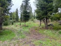 Build your dream home on this treed lot in the cul de sac across for sale in Grand Lake Colorado Grand County County on GolfHomes.com