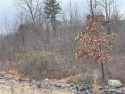 Experience the opportunity of a lifetime as you explore this 0 for sale in Luzerne County Pennsylvania Luzerne County County on GolfHomes.com