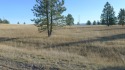 This lot is located in THE premier subdivision in Lewistown for sale in Lewistown Montana Fergus County County on GolfHomes.com