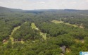 Don't miss this opportunity to build your dream home on this for sale in Birmingham Alabama Shelby County County on GolfHomes.com