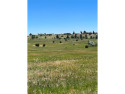 This property is one of over 140 individual lots being sold for sale in Colorado City Colorado Pueblo County County on GolfHomes.com