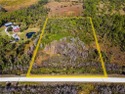 Experience exceptional opportunity with this expansive 5-acre for sale in Punta Gorda Florida Desoto County County on GolfHomes.com