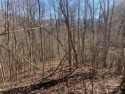 MOTIVATED SELLER. BRING AN OFFERe take a scenic drive through for sale in Hayesville North Carolina Clay County County on GolfHomes.com