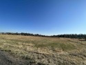 Potential future opportunities! 10 beautiful acres across from for sale in Cheney Washington Spokane County County on GolfHomes.com