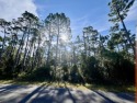 Calling all serious golfers.  This 0.68 acre wooded lot is on St for sale in Port St Joe Florida Gulf County County on GolfHomes.com