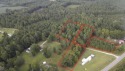 Amazing opportunity to own 4 parcels of land, 3 adjoining and 1 for sale in Manning South Carolina Clarendon County County on GolfHomes.com