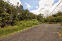 Don't miss this fantastic opportunity to own two separate for sale in Volcano Hawaii Big Island County County on GolfHomes.com