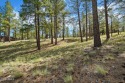 Please see the attached documents showing the topo survey for sale in Flagstaff Arizona Coconino County County on GolfHomes.com