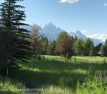 Please consider this 1 acre lot in JH Golf and Tennis for buyers for sale in Jackson Wyoming Teton County County on GolfHomes.com
