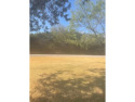 Get the best of both worlds with this Large heavily treed lot, Texas