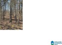 GREAT BUILDING LOT ON THE SEVENTH FAIRWAY OF ALPINE BAY GOLF for sale in Alpine Alabama Talladega County County on GolfHomes.com