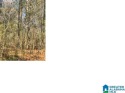 GREAT BUILDING LOT WITH ACCESS TO ALPINE BAY GOLF COURSE. BE THE for sale in Alpine Alabama Talladega County County on GolfHomes.com