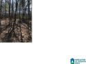 GREAT BUILDING LOT ON THE SEVENTH FAIRWAY OF ALPINE BAY GOLF for sale in Alpine Alabama Talladega County County on GolfHomes.com