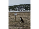 This is a perimeter lot with open space and ranch land to the for sale in Victor Idaho Teton County County on GolfHomes.com
