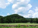 This homesite is located alongside Howard's Creek, our trophy for sale in White Sulphur Springs West Virginia Greenbrier County County on GolfHomes.com