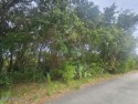  Ad# 6515800 golf course property for sale on GolfHomes.com