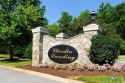 3.23 acres in the Chesdin Landing Community. Chesdin Landing for sale in Chesterfield Virginia Chesterfield County County on GolfHomes.com