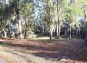 Incredible opportunity to own 0.59 acres in the prestigious for sale in Pawleys Island South Carolina Georgetown County County on GolfHomes.com