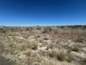 This 1 acre commercial zoned parcel sits in a desirable location for sale in Spring Creek Nevada Elko County County on GolfHomes.com