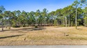 This lot features a buildable portion in the X flood zone for sale in Port St Joe Florida Gulf County County on GolfHomes.com