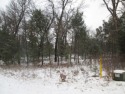 Lake Arrowhead lake access lot! Convenient and quiet for sale in Nekoosa Wisconsin Adams County County on GolfHomes.com