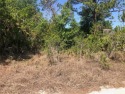 Beautiful area to build new home!  Sebring is up and coming area for sale in Sebring Florida Highlands County County on GolfHomes.com