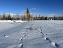 This exceptional .59-acre lot is available in Tributary, an for sale in Driggs Idaho Teton County County on GolfHomes.com