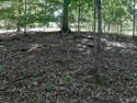 1/2 acre Lot in Gated Lake/Golf Community  for sale in La Follette Tennessee Campbell County County on GolfHomes.com