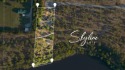 With scenic views of the sky and water, Lot 9 of the Carter for sale in Bowie Texas Montague County County on GolfHomes.com