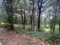 Beautiful sloped 1-acre lot in the highly desirable Nob Hill for sale in Conway Arkansas Faulkner County County on GolfHomes.com